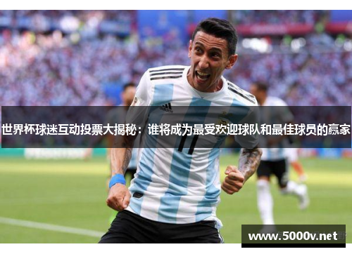 世界杯球迷互动投票大揭秘：谁将成为最受欢迎球队和最佳球员的赢家