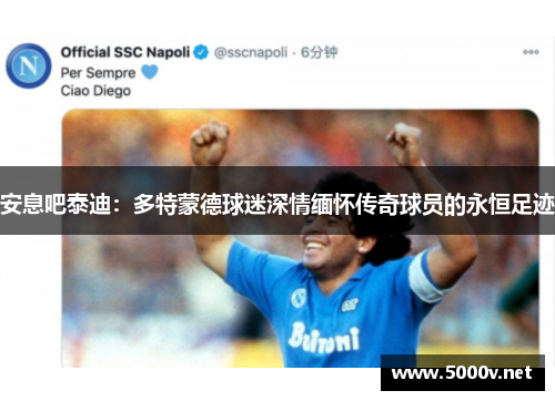 安息吧泰迪：多特蒙德球迷深情缅怀传奇球员的永恒足迹